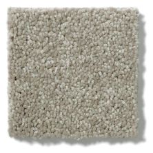 Shaw Floors Shaw Flooring Gallery Essay II Fawn 5005G_00792