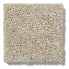 Shaw Floors Shaw Flooring Gallery Essay II Field Khaki 5005G_00793