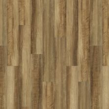 Shaw Floors Resilient Home Foundations Torino Plank Malta 00203_500RG