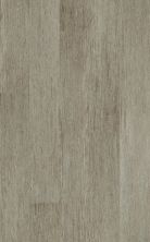 Shaw Floors Resilient Home Foundations Torino Plank Elba 00216_500RG