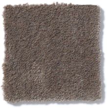 Philadelphia Commercial Emphatic 36 Top Taupe 50179_79742
