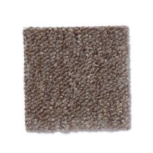 Philadelphia Commercial Winchester Buckwheat 50247_49725