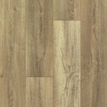 Shaw Floors Resilient Residential Apostleislndhdplus Foresta 00282_503GA