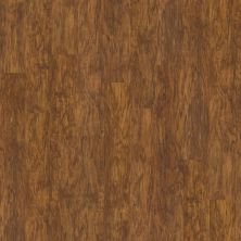 Shaw Floors SFA Casa Plus Oro 00255_503SA