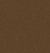 Shaw Contract No Collection Scepter II Antelope 43706_50521