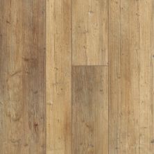 Shaw Floors Resilient Residential Grandmaraismixplus Touch Pine 00690_506GA