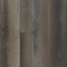 Shaw Floors Resilient Residential Grandmaraismixplus Blackfill Oak 00909_506GA