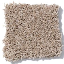 Shaw Floors Shaw Flooring Gallery Chromatic Stone Dust 53633_00102