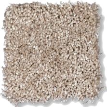 Shaw Floors Shaw Flooring Gallery Chromatic Pale Putty 53633_00103