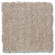 Shaw Floors Shaw Flooring Gallery Chromatic Stucco Beige 53633_00104
