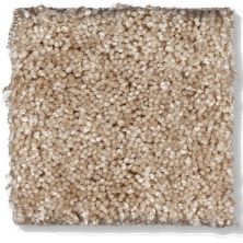 Shaw Floors Shaw Flooring Gallery Chromatic Honey Nut 53633_00105