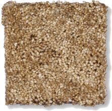 Shaw Floors Shaw Flooring Gallery Chromatic Buttered Toast 53633_00200