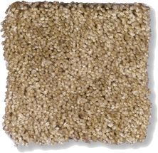 Shaw Floors Shaw Flooring Gallery Chromatic Dried Leaf 53633_00300