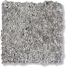 Shaw Floors Shaw Flooring Gallery Chromatic Old Pewter 53633_00501