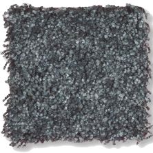 Shaw Floors Shaw Flooring Gallery Chromatic Black Sand 53633_00502