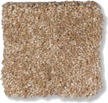 Shaw Floors Shaw Flooring Gallery Chromatic Spice Bark 53633_00700