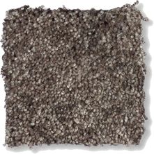 Shaw Floors Shaw Flooring Gallery Chromatic Dark Chocolate 53633_00702