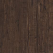 Shaw Floors Resilient Residential Paramount 512c Plus Umber Oak 00734_509SA