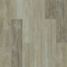 Shaw Floors Resilient Property Solutions Moonlit Pine 720c Plus Salvaged Pine 00554_514RG