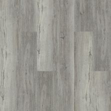 Shaw Floors Resilient Property Solutions White Oak 720c Plus Wye Oak 05004_516RG