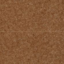 Shaw Floors Atherton CUT PILE Copper Penny 29700_52029