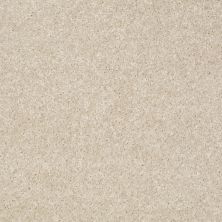 Shaw Floors Jet Set Stucco 00105_52349
