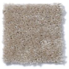 Shaw Floors Cascade II Chipmunk 52350_00170