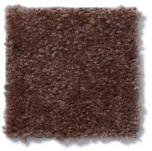 Shaw Floors Cascade II Leather Brown 52350_00774