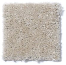 Shaw Floors Cascade II Frosty Taupe 52350_50102