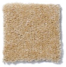 Shaw Floors Cascade II Buckwheat 52350_50103