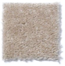 Shaw Floors Cascade II Heather 52350_50104