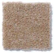 Shaw Floors Cascade II Tree Trunk 52350_50105