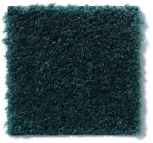 Shaw Floors Cascade II Emerald Stone 52350_50302