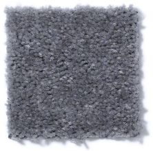 Shaw Floors Cascade II Smoke Grey 52350_50501