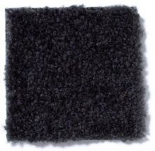Shaw Floors Cascade II Black Beauty 52350_50502