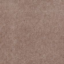 Shaw Floors Cascade II Willow 50700_52350