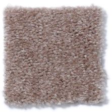 Shaw Floors Cascade II Willow 52350_50700