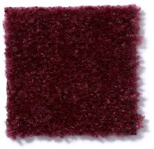 Shaw Floors Cascade II Mulberry Patch 52350_50802