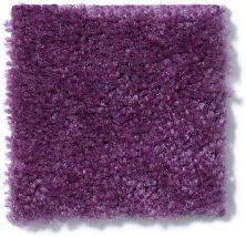 Shaw Floors Cascade II Grape 52350_50903