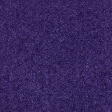 Shaw Floors Cascade II Purple Reign 50905_52350