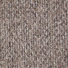 Shaw Floors Ashford 12 Pavilion 76701_52376