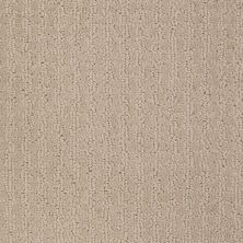 Shaw Floors Shaw Flooring Gallery Modern Beauty Frost 00104_5246G