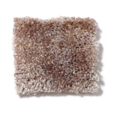 Shaw Floors Dynamics Pale Stucco 52606_00100