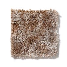 Shaw Floors Dynamics Sandscape 52606_00101