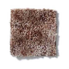 Shaw Floors Dynamics Warm Clay 52606_00105