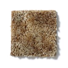 Shaw Floors Dynamics Sugar Cane 52606_00200