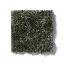 Shaw Floors Dynamics Desert Palm 52606_00301