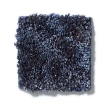 Shaw Floors Dynamics Blue Fox 52606_00402