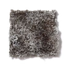 Shaw Floors Dynamics Silver Birch 52606_00700