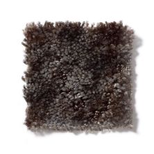 Shaw Floors Dynamics Cobblestone 52606_00701